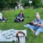 Picknick am Bingstetter See